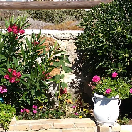 Delight Apartments Suites Stelida (Naxos)