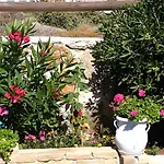 Delight Stelida (Naxos)