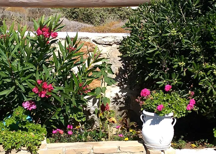 Delight Apartments Suites Stelida (Naxos)