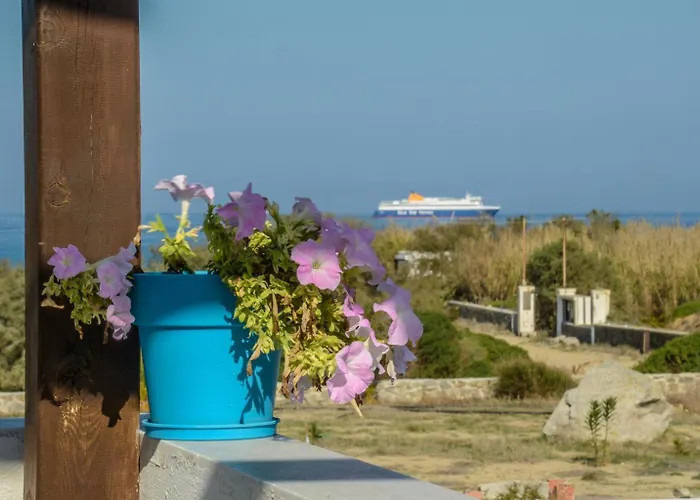 Delight Apartments Suites Stelida (Naxos)